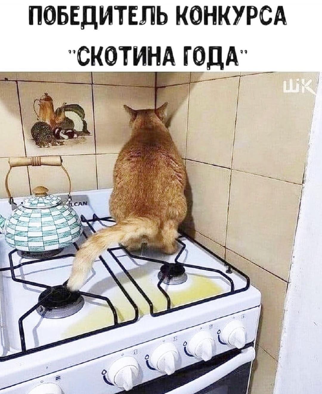поьвдитвль КОНКУРСА скотинд ГОДА _ л