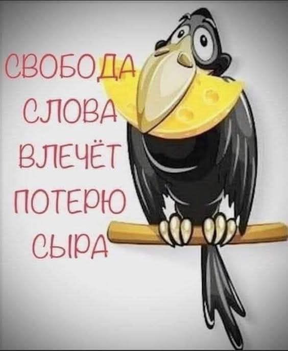 СВОБОДА СЛОВА ВЛЕЧЁТ ПОТЕРЮ СЫРА