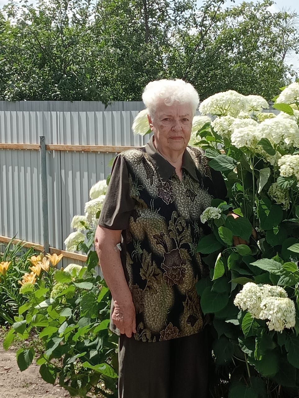 Пожилая женщина стоит в саду возле крупных белых цветов (гортензий) и зелени, за ней металлический забор.