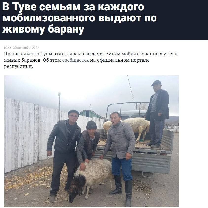 В Туве семьям за каждого МОБИЛИЗОВЗИНОГО выдают ПО живому бараиу пр ш и м м