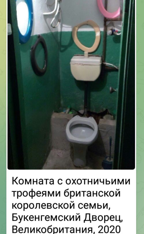 КОМНЭТЭ С ОХОТНИЧЬИМИ трофеями британской королевской семьи Букенгемский Дворец Великобитания 2020