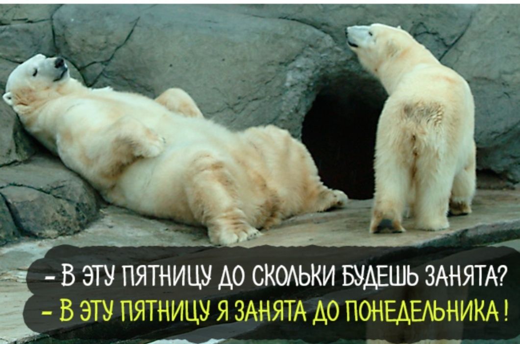 В ЭТУ ПЯТНИШ А0 СКОАЬКИ БУДЕШЬ 3АНЯТА7 В ЭТУ ПЯТНИЦУ Я ЗАНЯТА А0 ПОНЕАЕАЬНИКА