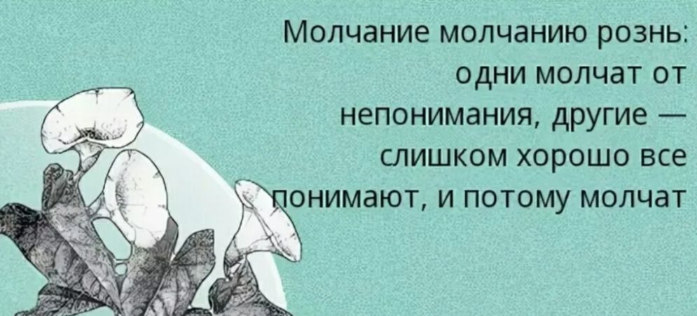 Молчание молчанию рознь __ одни молчат от непонимания другие слишком хорошо все Ёнимают и потому молчат