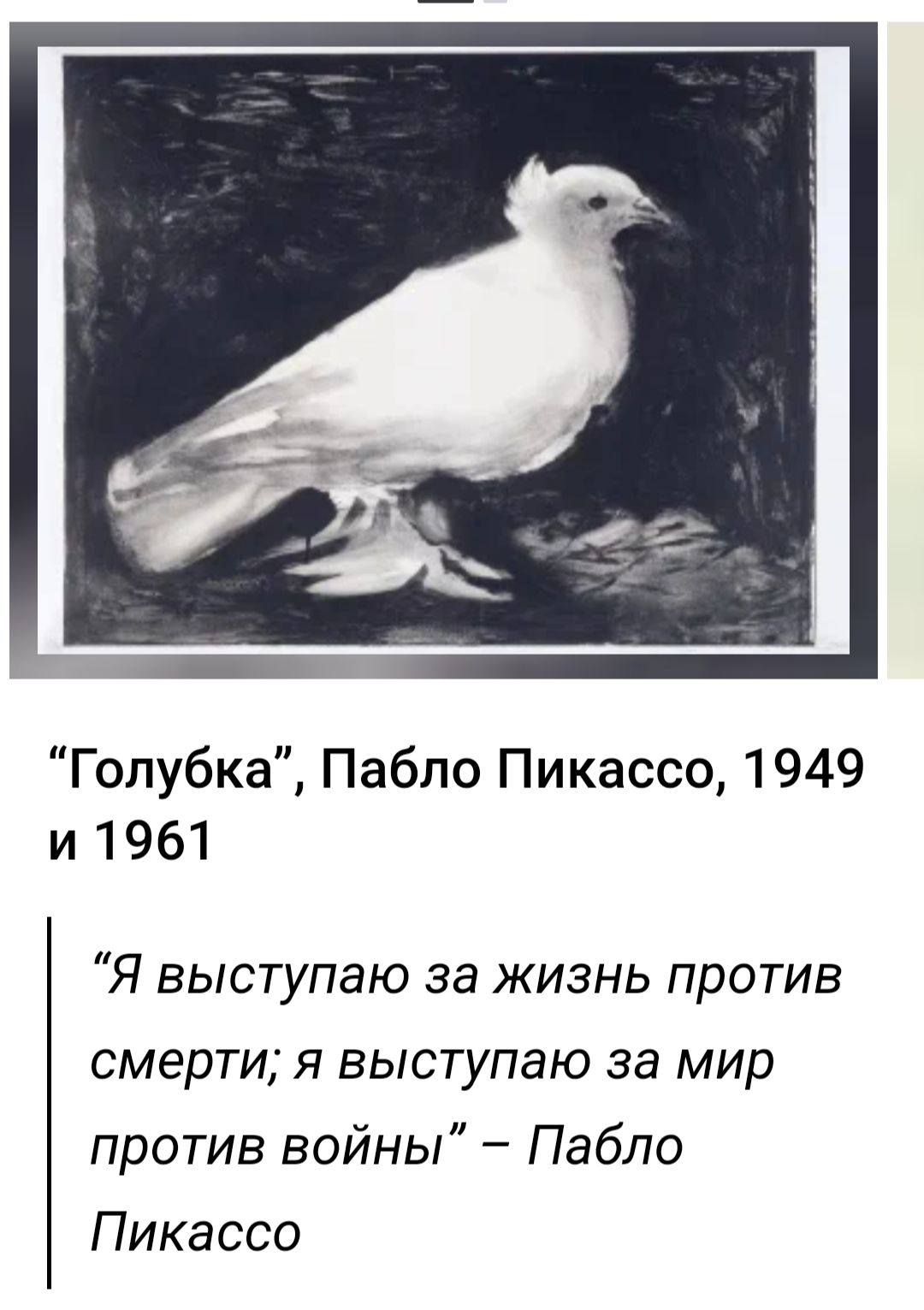 Голубка Пабло Пикассо 1949 и 1961 Я выступаю за жизнь против смерти я выступаю за мир против войны Пабло Пикассо