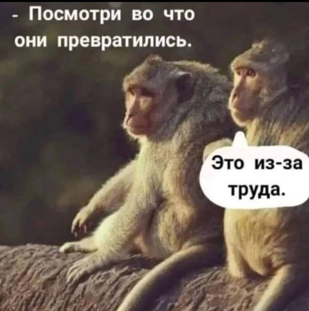 Посмотри во что они превратились