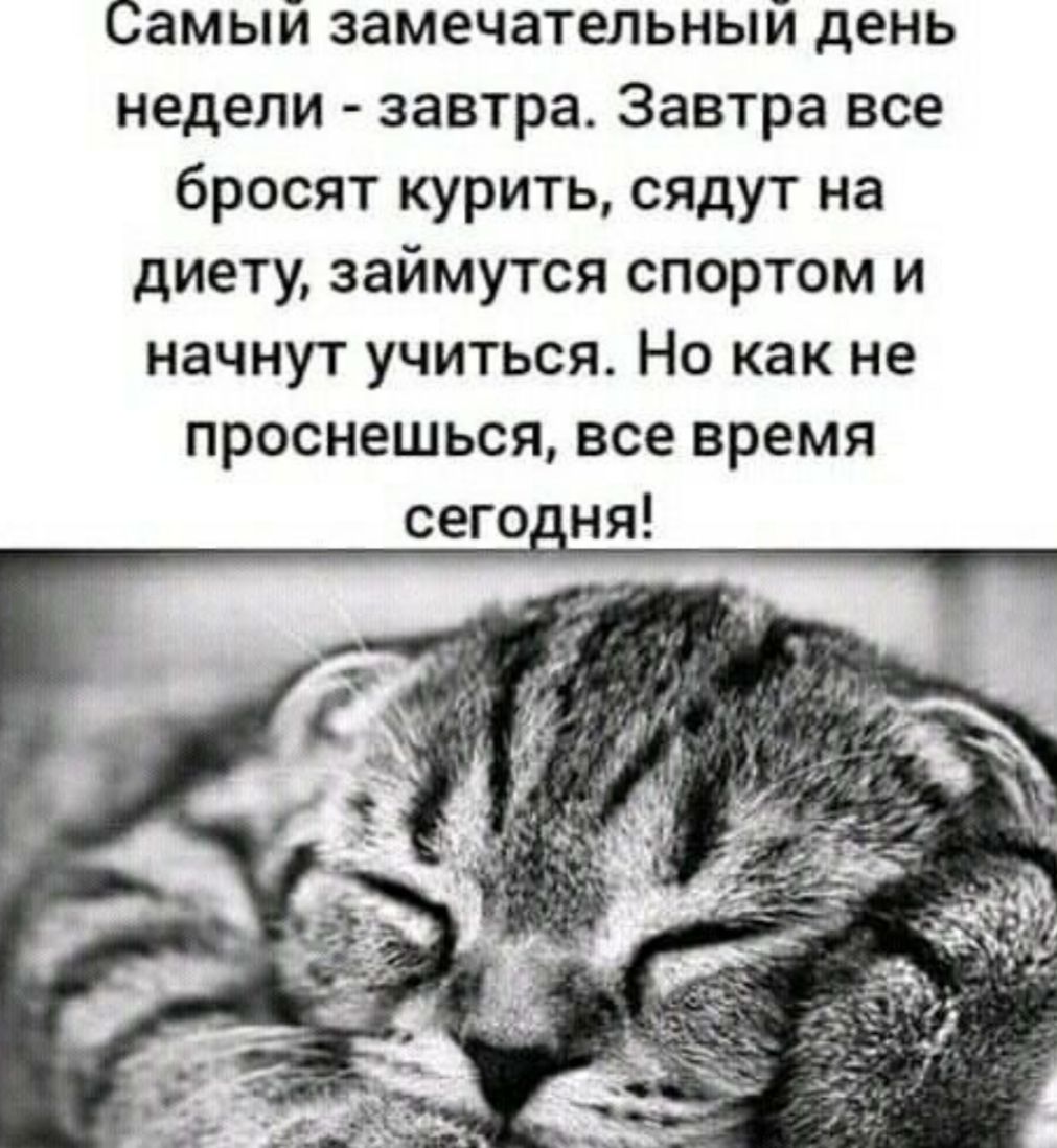 Самый замечательный день недели завтра Завтра все бросят курить сядут на диету займутся спортом и начнут учиться Но как не проснешься все время сего ня