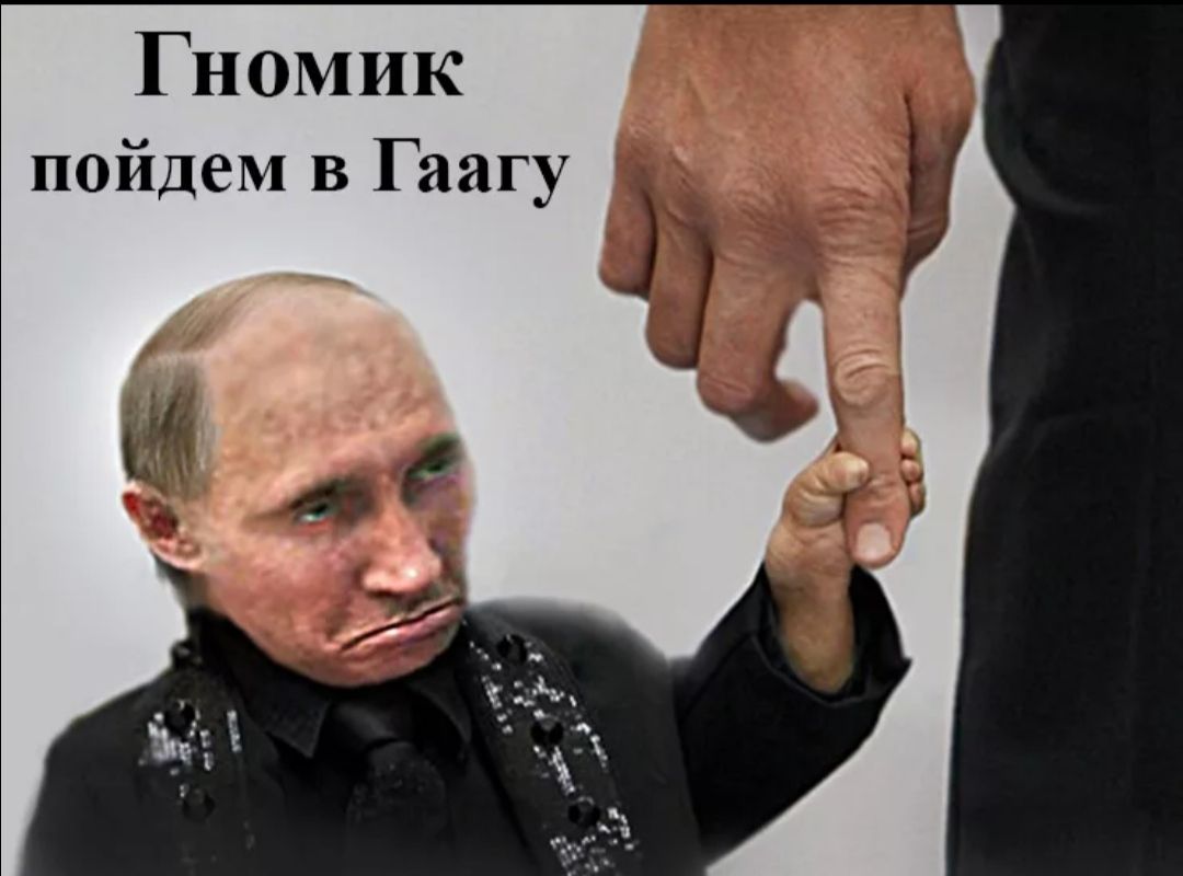 Гномик пойдем в Гаагу