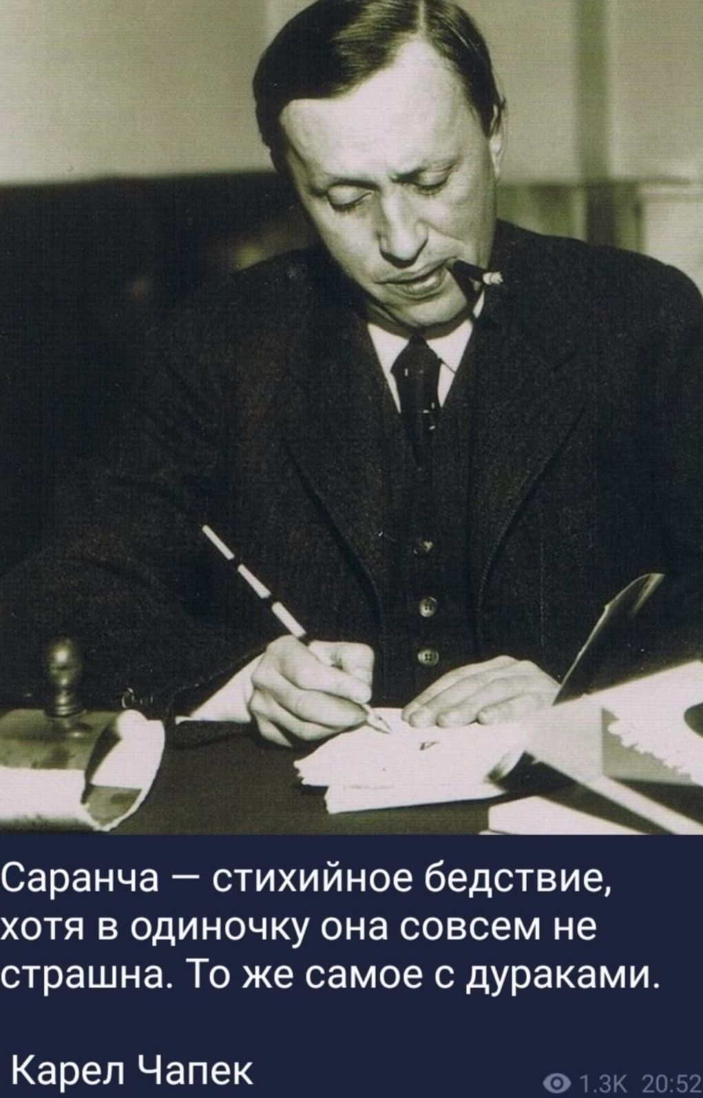 Саранча стихийное бедствие хотя в одиночку она совсем не страшна То же самое с дураками Карел Чапек 01 ак шаг