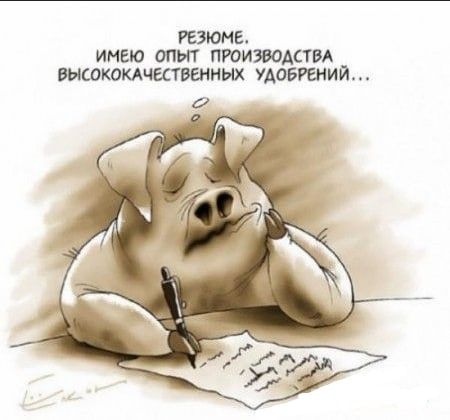 Резюме имею опыт производим высококдчшввнных умерший