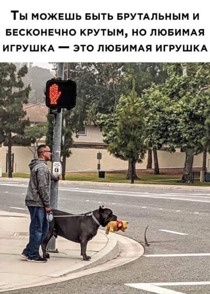 ТЫ МОЖЕШЬ БЫТЬ БРУТАЛЬНЫМ И БЕСКОНЕЧНО КРУТЫМ НО ЛЮБИМАЯ ИГРУШКА _ ЭТО ЛЮБИМАЯ ИГРУШКА