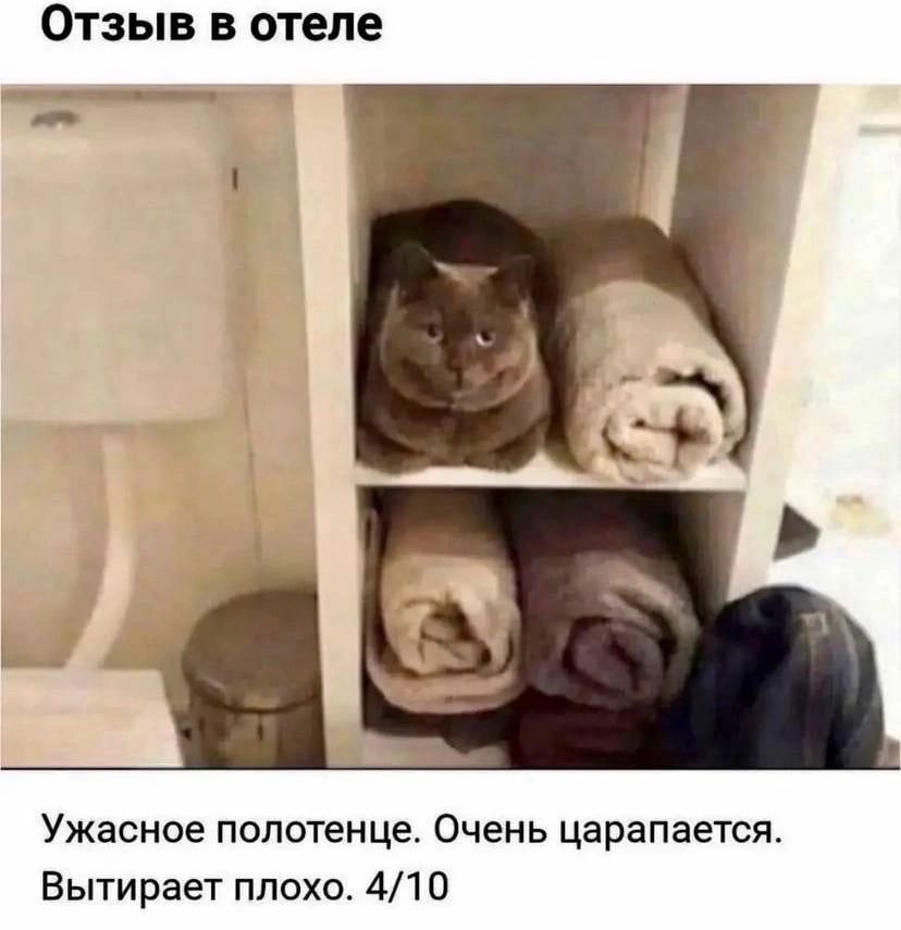 Отзыв в отеле Ужасное полотенце Очень царапается Вытирает плохо 410