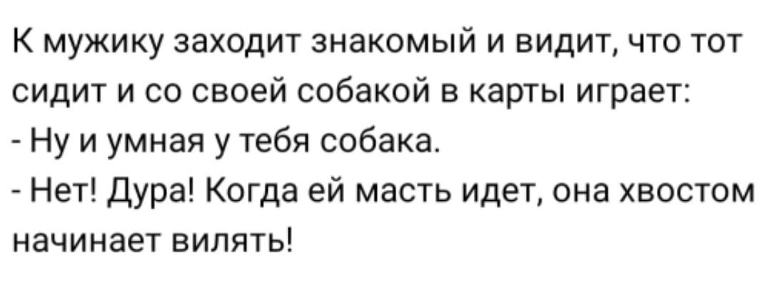 К МУЖИКУ заходит ЗНЭКОМЫЙ И ВИДИТ ЧТО ТОТ СИДИТ И СО СВОЕЙ собакой В КЗРТЫ играет Ну и умная у тебя собака Нет Дура Когда ей масть идет она хвостом начинает вилять