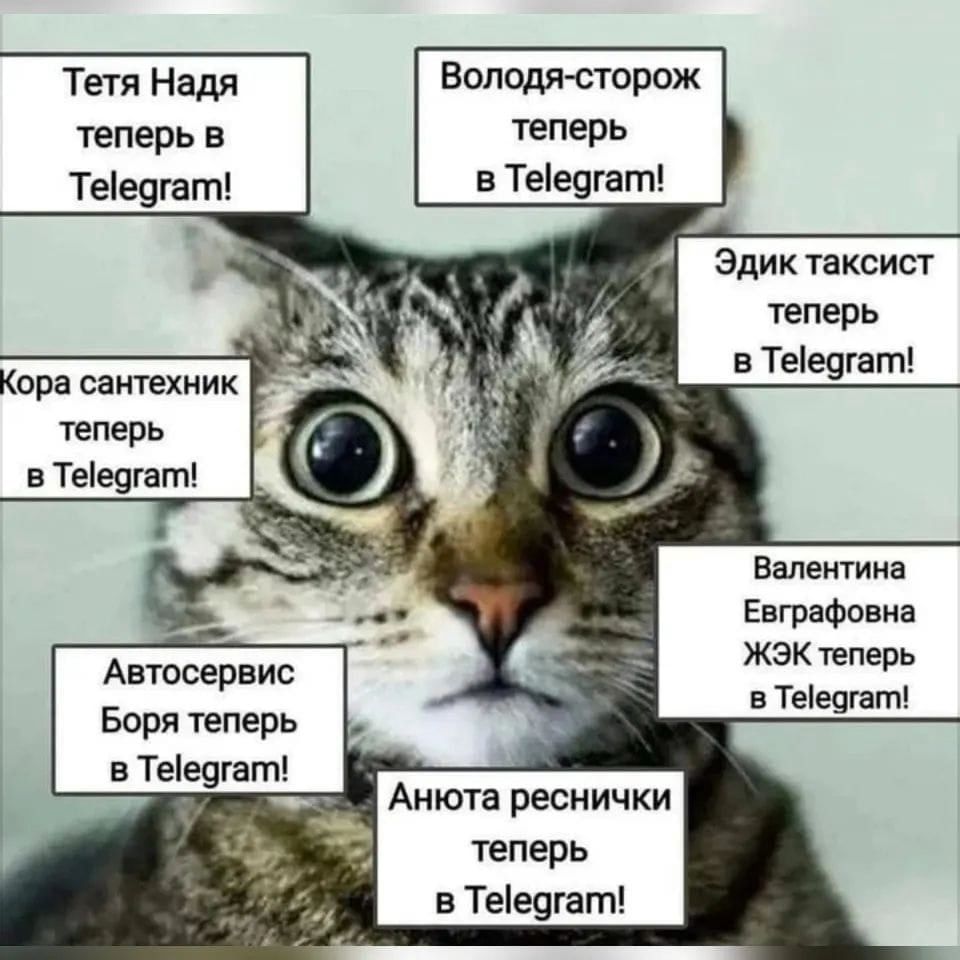 Тетя Надя Володя сторож теперьв теперь Тее9гат в Тее9гат теперь в Тее9гат Корасантехник теперь в Тее9гат Валентина Евграфовна ЖЭК теперь в Тее9гагп Автосервис Боря теперь Анюта реснички теперь в Тее9гат