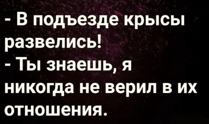 В подъезде крысы развелись Ты знаешь я никогда не верил в их отношения