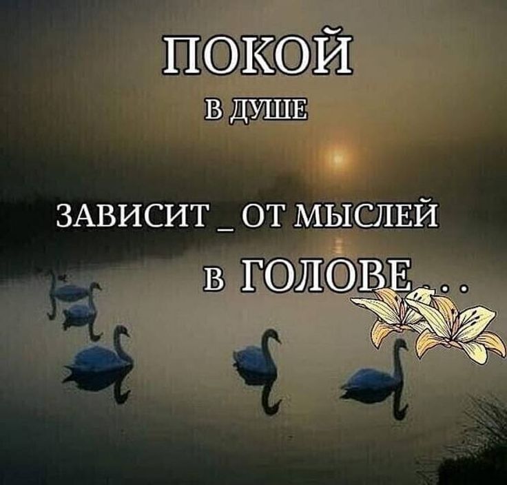 покой в ДУШЕ ЗАВИСИТ _ от МЫСЛЕЙ