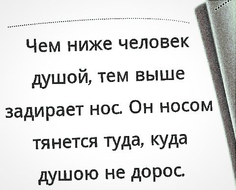 Чем ниже человек душой тем выше задирает нос Он носом тянется туда куда душою не дорос