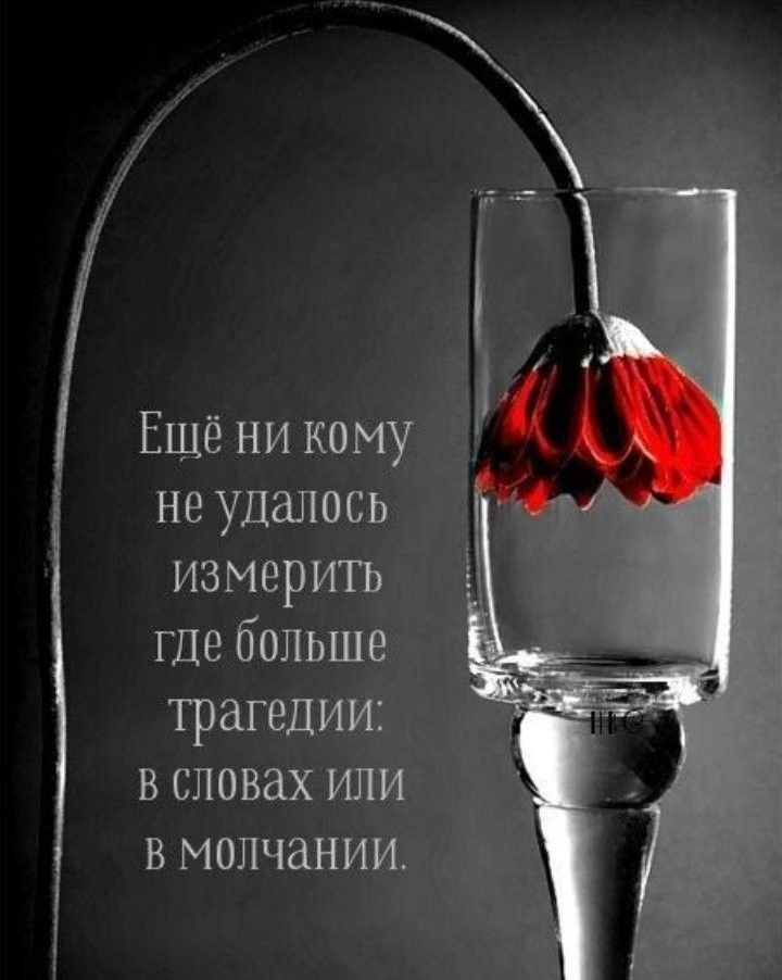 Ещё ни кому не удалось измеритъ где больше трагедии в словах или в молчании