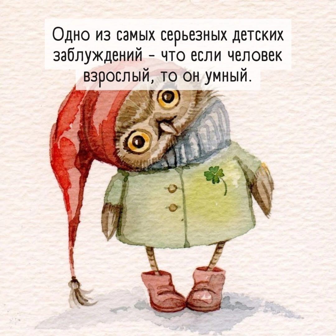 Одно из самых серьезных детских заблуждений что если человек взрослый то он умный