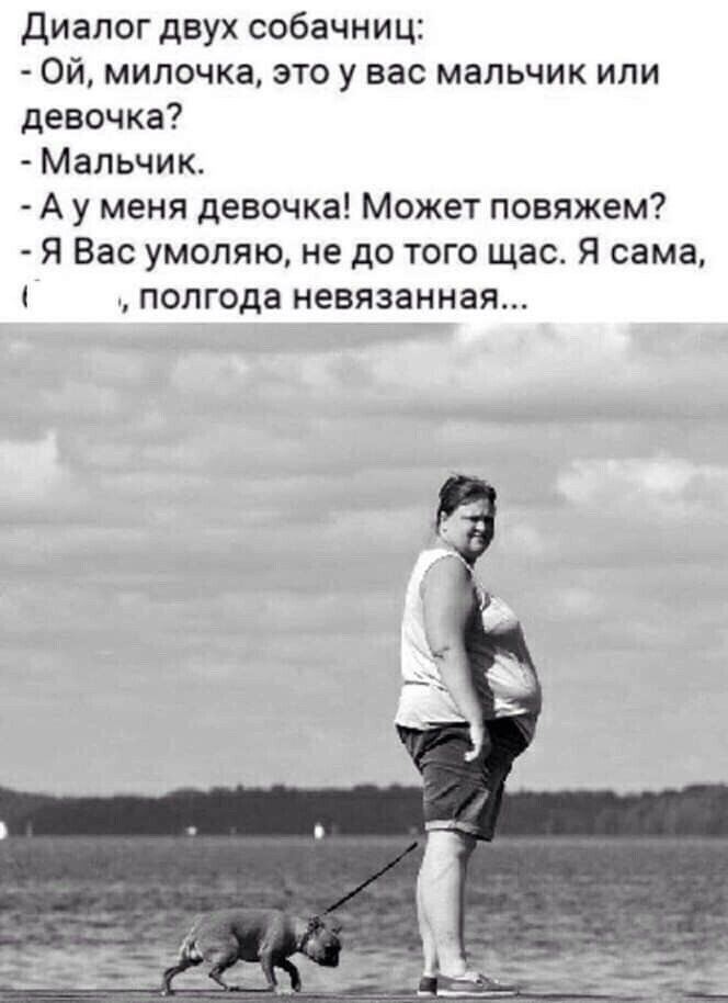 Диалог двух собачниц Ой мипочка это у вас мальчик или девочка Мальчик А у меня девочка Может повяжем Я Вас умоляю не до того щас Я сама полгода невязаниая