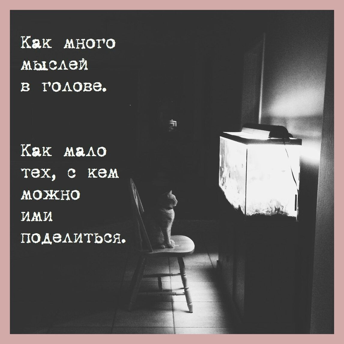Как много МЫСАЗИ в ГОАОВЭ Как мыш тех с кем можно ими подедиться