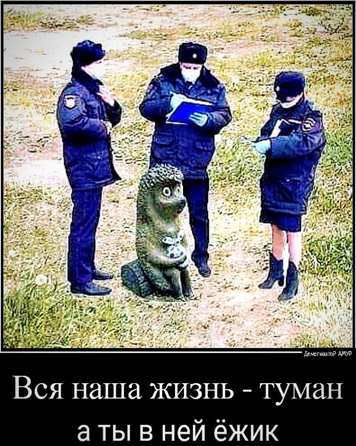 Вся наша жизнь туман а ты в ней ёжик
