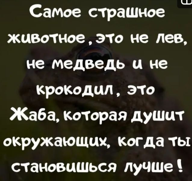 ш Самве с грашное животное это не лев не медведь и не крокодил это Жаба которая душит окружающих когда ты становишься лучше