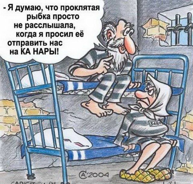 Я думаю что проклятая рыбка просто не расслышала когда и просил её отправить нас на КА НАРЫ