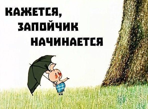 КАЖЕТСЯ ЗАППЙЧИН НАЧИНАЕТСЯ