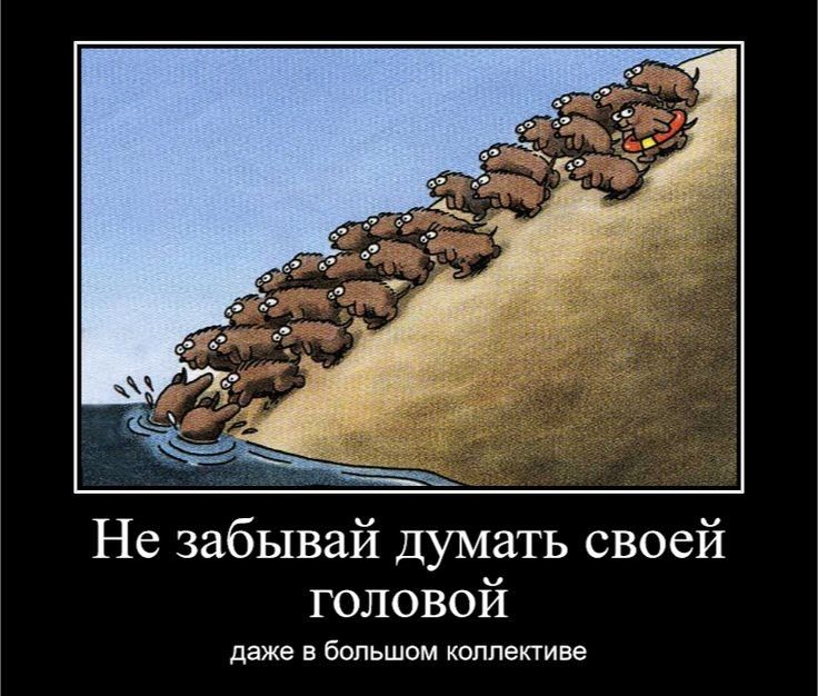 Не забывай думать своей головой даже в Большом кпппетиве
