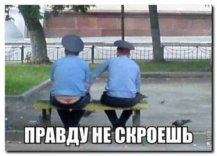 дно Ь Ш Е 0 в и с н И _ _