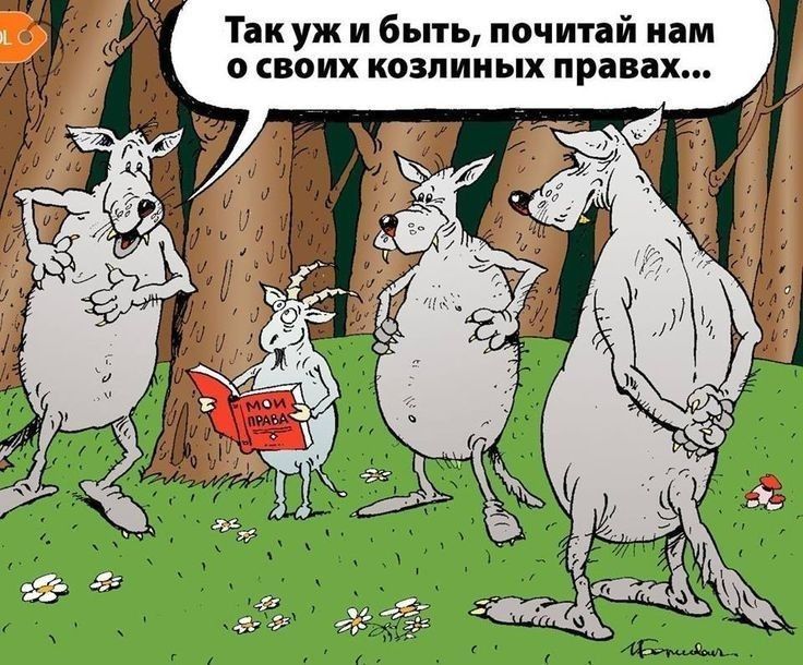Так уж и быть почитай нам о своих козпииых правах