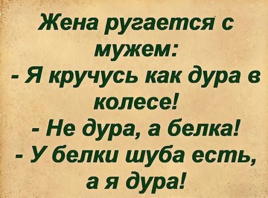 Жена ругается с мужем Я кручусь как дура в колесе Не дура а белка У белки шуба есть а я дура