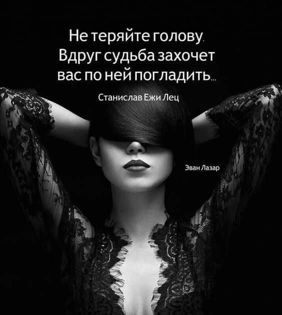 Не теряйте голову Вдруг судьба захочет вас по ней погладить Станиишвцдлец А
