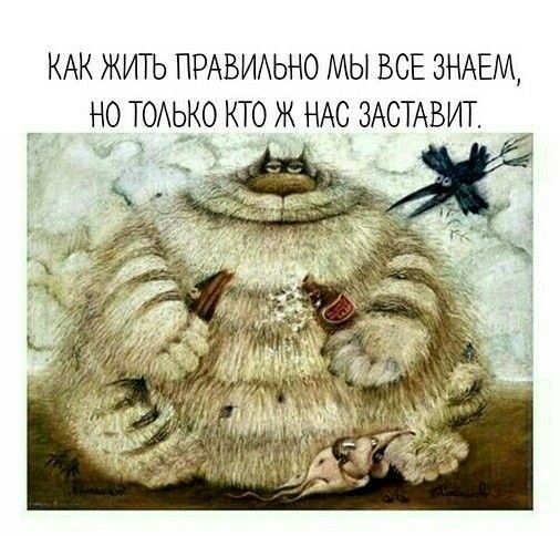 КАК ЖИТЬ ПРАВИАЬНО МЫ ВСЕ ЗНАЕМ НО ТОАЬКО КТО Ж НАС ЗАСТАВИТ 1
