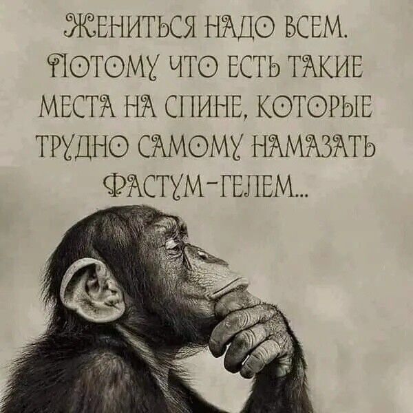 ЖЕНИТЬСЯ НМТО БСЕМТ ОТОМХ ЧТО ЕСТЬ ТЖИЕ МЕСТЖ НЙ СПИНЕ КОТОРЫЕ ТРХЦНО СЖМОМХ НЁМЮЖТЬ ФЖТХМТЕЛЕМ