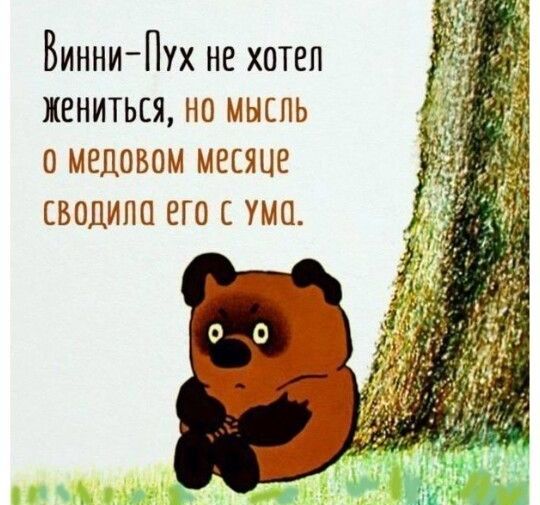 Винни Пух не хотел жениться на мыспь пмвловом месяце сводила его с ума