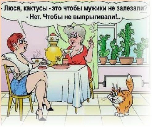 Люся тусы т чтобы мужики но шшпг