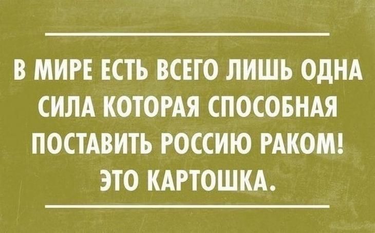 В МИРЕ ЕСТЬ ВСЕГО ЛИШЬ ОДНА СИЛА КОТОРАЯ СПОСОБНАЯ ПОСТАВИТЬ РОССИЮ РАКОМ ЭТО КАРТОШКА