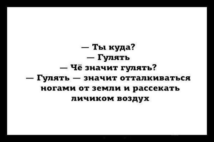 _ Ты куда Гулять Чё значит гулять А Гулять _ значит отталкиваться ногами от земли и рассеиать личиком поздух