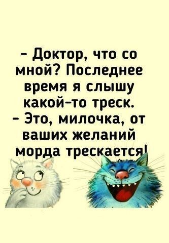 Доктор что со мной Последнее время я слышу какой то треск Зто милочка от ваших желаний морда трес аетс
