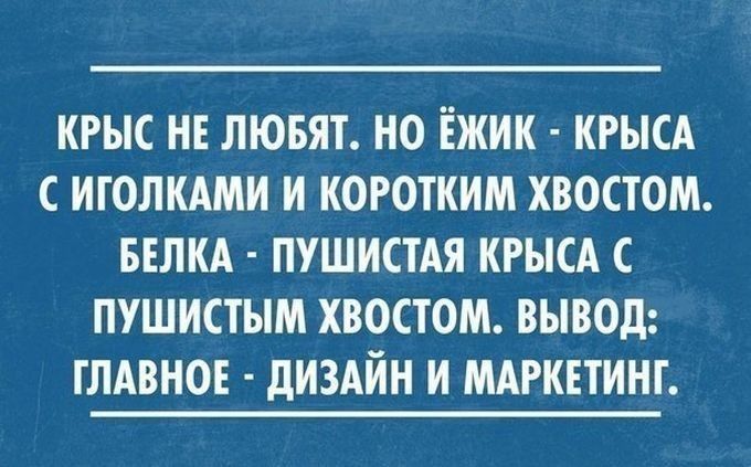 КРЫС НЕ ЛЮБЯТ НО ЁЖИК КРЫСА С ИГОЛКАМИ И КОРОТКИМ ХВОСТОМ БЕЛКА ПУШИСТАЯ КРЫСА С ПУШИСТЫМ ХВОСТОМ ВЫВОД ГЛАВНОЕ дИЗАЙН И МАРКЕТИНГ