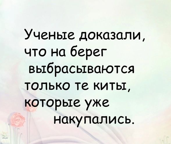 Ученые доказали что на берег выбрасываются только те киты которые уже накупались