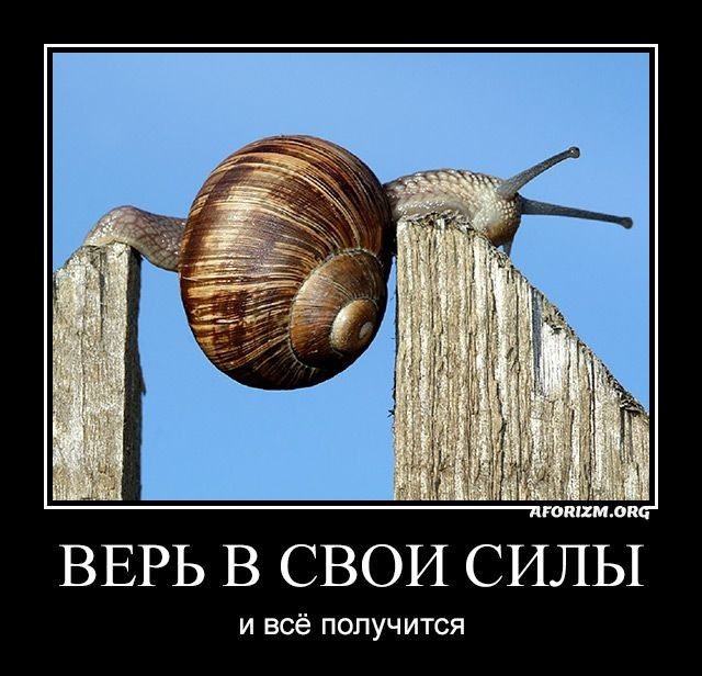 ВЕРЬ в СВОИ силы и всё получится