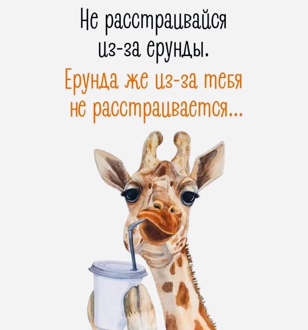 Нс расстраивапся из за ерунды Ерунда м 13 33 тсвя но расстраивается