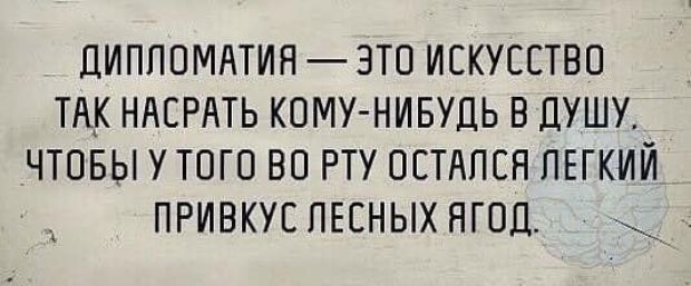 ДИПЛОМАТИЯ ЭТО ИСКУССТВО ШК НАСРАТЬ КОМУ НИБУДЬ В ЦУШУ ЧТОБЫ У ТОГО БО РТУ ОСТдПСН ЛЕГКИЙ ПРИВКУС ЛЕСНЫХ НГОП