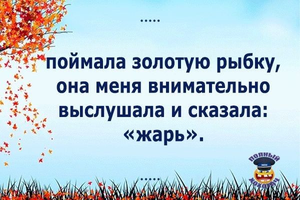 поймала золотую рыбку она меня внимательно _ выслушала и сказала жарь_
