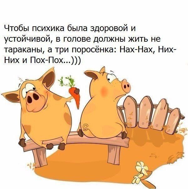 Чтобы психика была здоровой и устойчивой в голове должны жить не тараканы а три поросёнка Нах Нах Них Них и ПохПох _