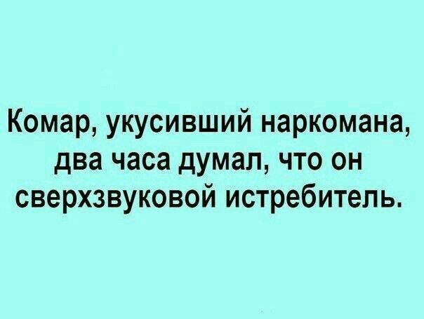 Комар укусивший наркомана два часа думал что он сверхзвуковой истребитель