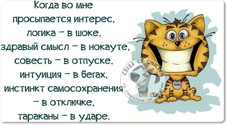 Коша во мне просыпается интерес логика в шоке здравый смысл в нокауте совесть в отпуске интуиция в бегах 5 инстинкт самосохранения в откгмше та аканы в д е