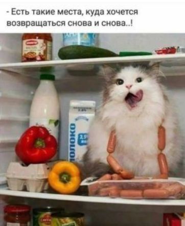 Есть такие места куда хочется возвращаться снова и снова